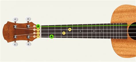 The UkuTabs ukulele tuner supports the most popular ukulele tunings. Standard tuning is gCEA, which is the most common ukulele tuning. The tuning aDF#B (called D tuning) is shifted two frets, and brings out a sweeter ukulele tone. The dGBE tuning is more common for larger (baritone) ukuleles, and it will give you the same root notes as the top ... 
